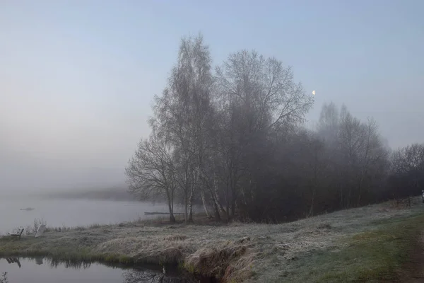 Image Brouillard Avec Des Silhouettes Arbres Matin Belle Brume Sur — Photo