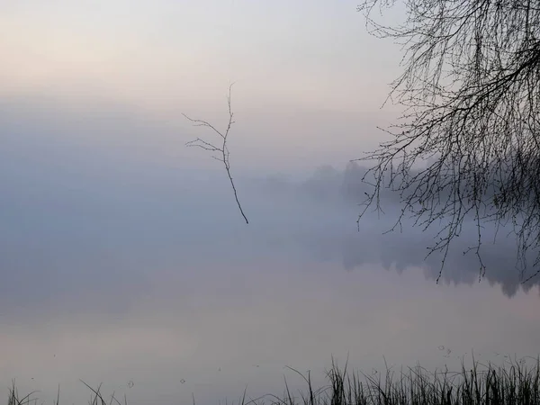 mist picture with tree silhouettes in the morning, beautiful mist on the lake, frost on the ground