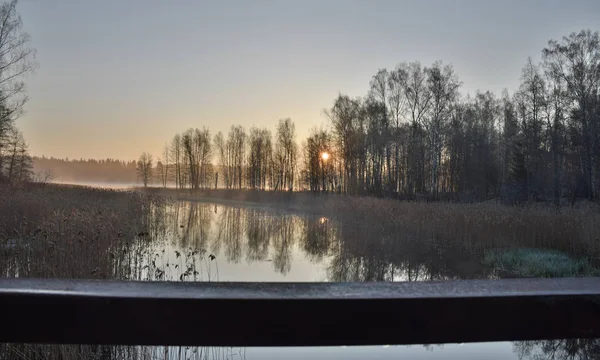 Vue Sur Belle Matinée Bord Lac Lumière Soleil Travers Les — Photo