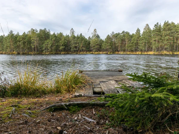 Con Vistas Lago Forestal Con Pequeños Pinos Pantano Una Antigua —  Fotos de Stock