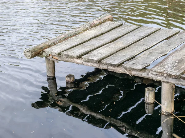 Blick Auf Einen Waldsee Mit Kleinen Sumpfkiefern Und Einem Alten — Stockfoto