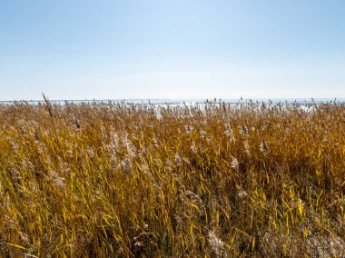 Huzurlu sahil manzarası