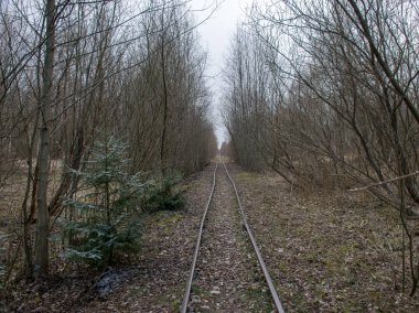 Bataklıkta demiryolu rayları olan manzara, turba çıkarma bataklığı.