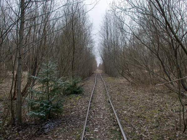 Bataklıkta demiryolu rayları olan manzara, turba çıkarma bataklığı.
