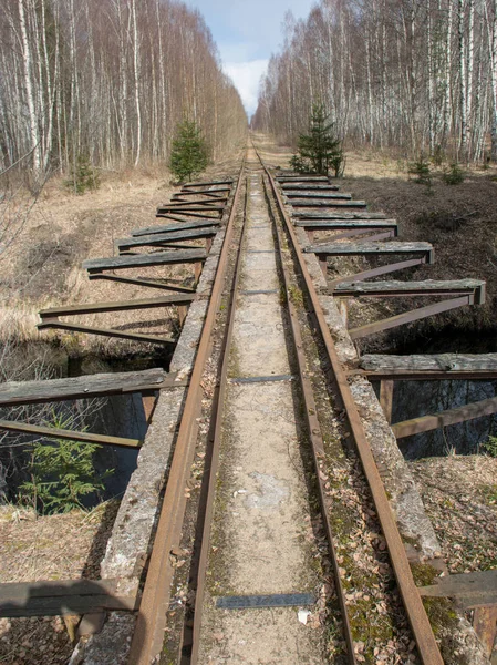 Bataklıkta Demiryolu Rayları Olan Manzara Turba Çıkarma Bataklığı — Stok fotoğraf
