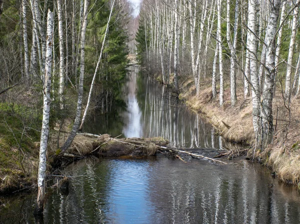 Paysage Avec Voies Ferrées Dans Tourbière Tourbière Extraction — Photo