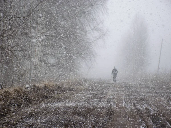 Kar yağışı, karla kaplı ağaçlar ve patika ile soyut manzara -