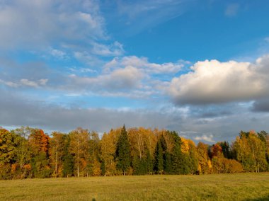 Güzel, muhteşem ve rengarenk ağaçlar bir sonbahar gününde
