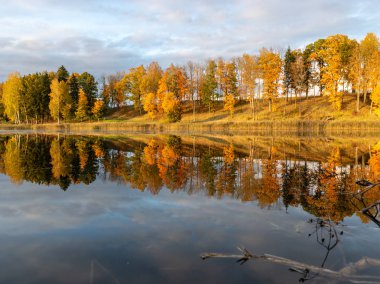 Suyun kenarındaki muhteşem ve renkli ağaçlarla muhteşem sonbahar manzarası, suda güzel yansımalar.