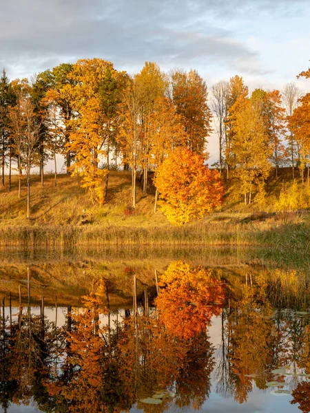 Прекрасный Осенний Пейзаж Великолепными Красочными Деревьями Воды Красивые Отражения Воде — стоковое фото