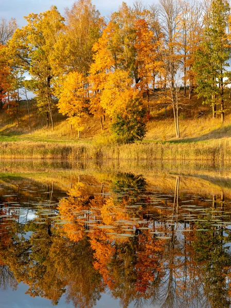 Прекрасный Осенний Пейзаж Великолепными Красочными Деревьями Воды Красивые Отражения Воде — стоковое фото