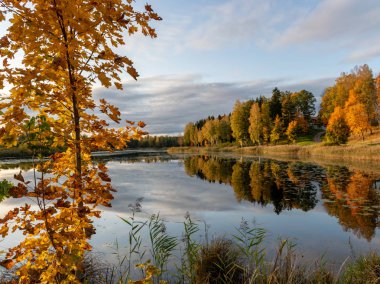 Suyun kenarındaki muhteşem ve renkli ağaçlarla muhteşem sonbahar manzarası, suda güzel yansımalar.