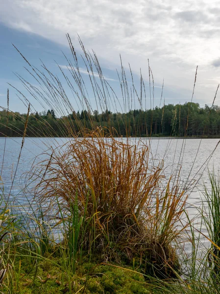 Paysage Avec Lac Forestier Calme Par Une Belle Journée Automne — Photo