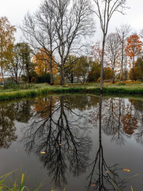 Suyun kenarında sonbahar ağaçları olan sakin bir manzara, güzel yansımalar.