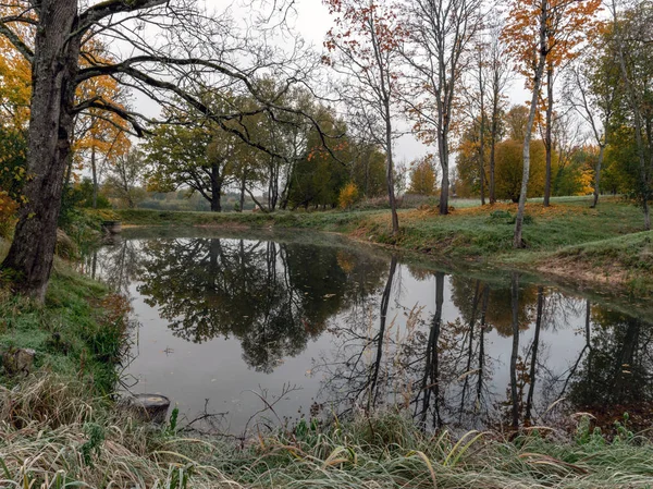 Spokojny Krajobraz Jesiennymi Drzewami Brzegu Wody Piękne Refleksje — Zdjęcie stockowe
