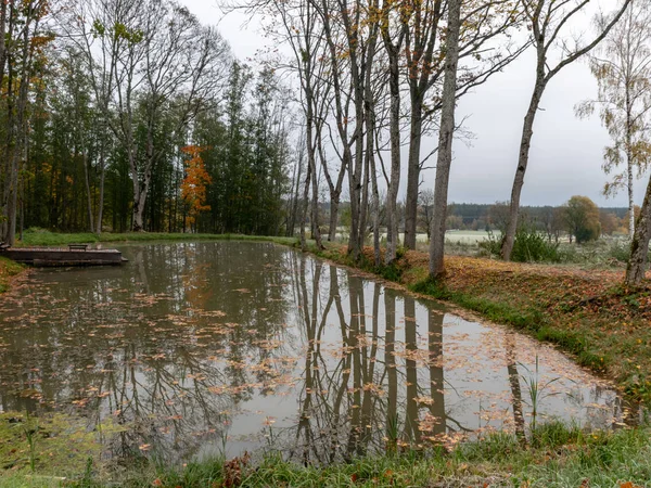 Lugnt Landskap Med Höstträd Vattenbrynet Vackra Reflektioner — Stockfoto