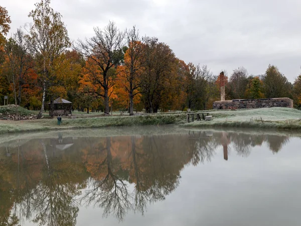 Paisaje Tranquilo Con Árboles Otoño Borde Del Agua Hermosos Reflejos —  Fotos de Stock