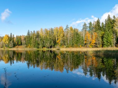 Suyun kenarında sonbahar ağaçları olan sakin bir manzara, güzel yansımalar.