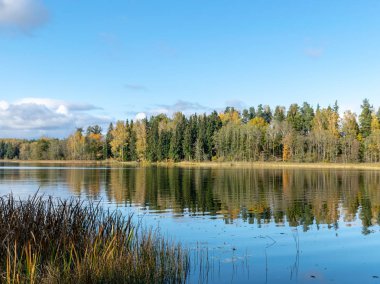 Suyun kenarında sonbahar ağaçları olan sakin bir manzara, güzel yansımalar.