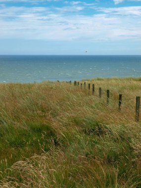 Kablolu eski tahta direk, dağdaki eski bahçe.