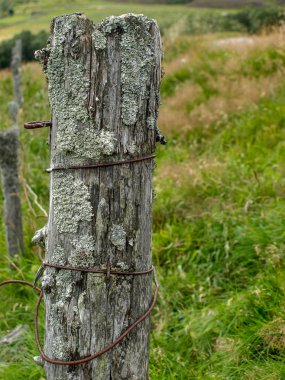 Kablolu eski tahta direk, dağdaki eski bahçe.