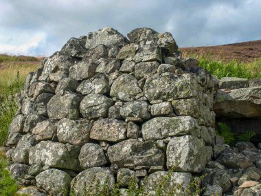 Heather tarlası ve eski taş kalıntıları olan güzel bir manzara.
