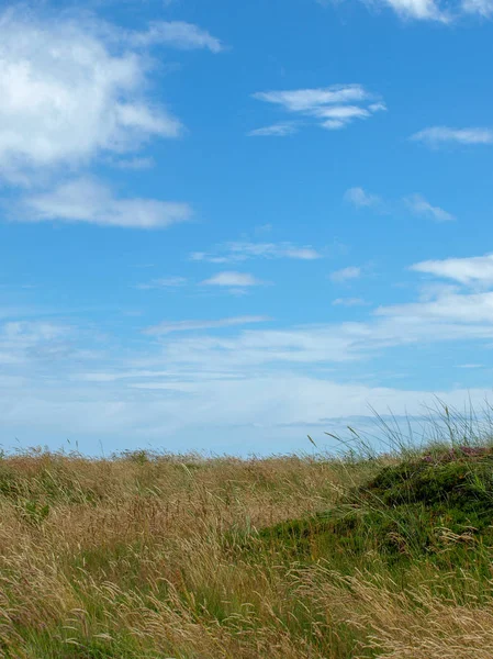 Paesaggio Solitario Con Prato Verde Sul Mare — Foto Stock