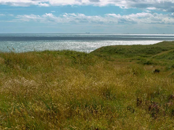 Paisagem Solitária Com Prado Verde Beira Mar — Fotografia de Stock