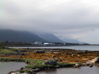 fiyortun kenarında dağlarla ve çayır ile güzel bir sis resmi.