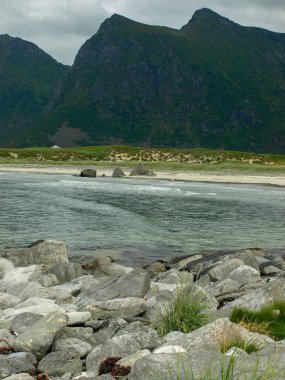 fiyortta güzel yeşil taşlarla kaplı manzara, güzel deniz suyu ve parıltı