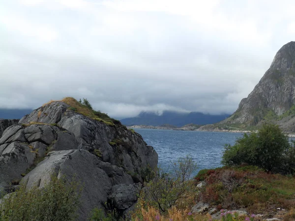Landskap Med Vackra Gröna Igenväxta Klippor Vid Fjorden Vackert Havsvatten — Stockfoto