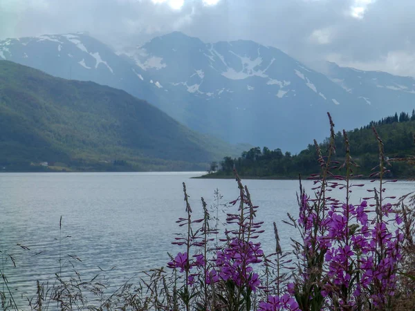 Krajina Krásnými Zelené Zarostlé Skály Fjordu Krásné Mořské Vody Oslnění — Stock fotografie