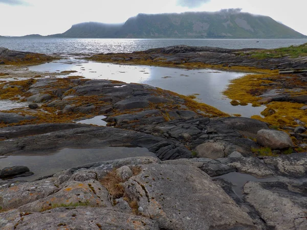 landscape with beautiful green overgrown rocks at the fjord, beautiful sea water and glare