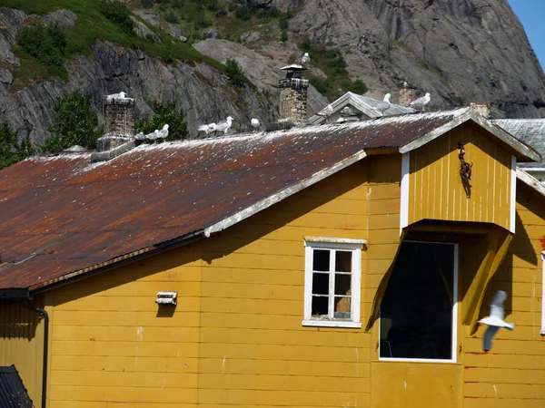 Пейзаж Красивой Деревней Скандинавские Дома — стоковое фото