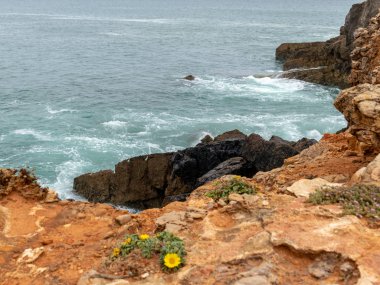 Dik kayalık kıyıları ve ön planda yabani çiçekleri olan bir manzara.