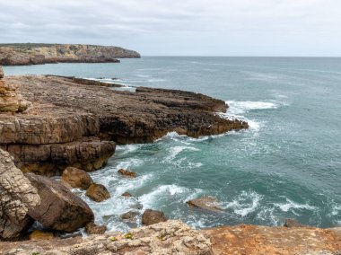 Dik kayalık kıyıları ve ön planda yabani çiçekleri olan bir manzara.