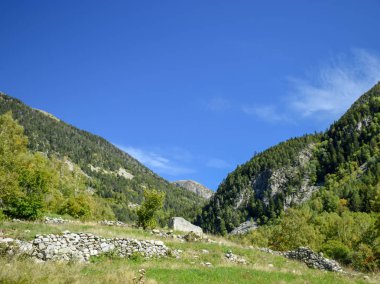 Güzel dağ vadisi, güzel çimenli dağlar ve çiçekler