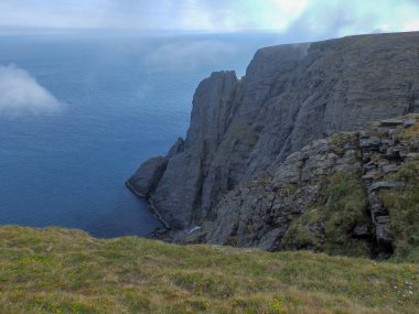 Dik kayalık kıyıları ve ön planda yabani çiçekleri olan bir manzara.