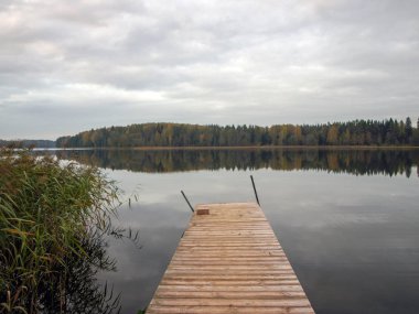 Gölü olan sonbahar manzarası, sudaki ağaç yansımaları, bulutlu bir gün.