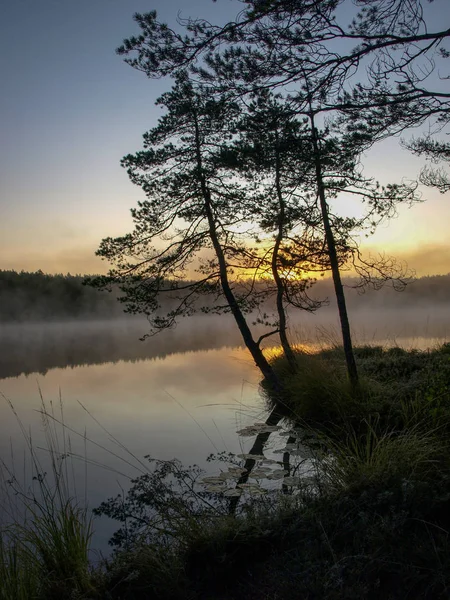 Belle Brume Sur Lac Silhouettes Arbres Sombres Coucher Soleil Sur — Photo