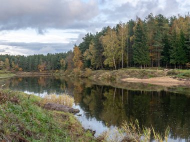 Nehirli sonbahar manzarası, sakin su, güzel renkli ağaçlar, su yansımaları, Gauja nehri, Valmiera, Letonya