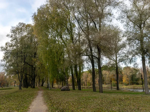Осінній Пейзаж Парку Листя Впало Землю Силуети Дерев — стокове фото