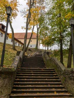 Taş merdivenli ve renkli yapraklı soyut resim, arka plan için uygun