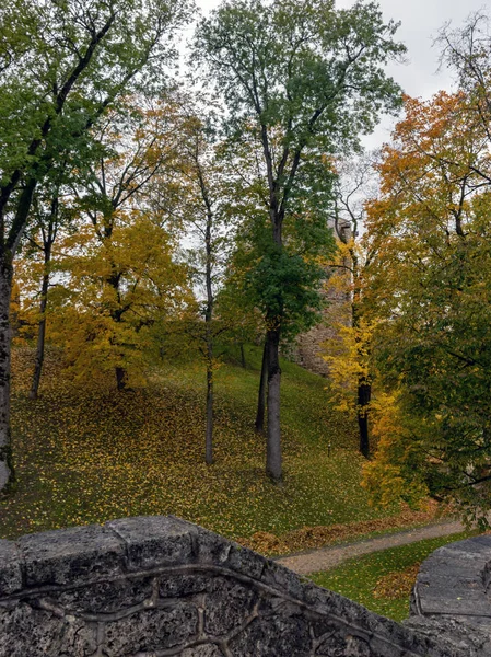 Krajobraz Kolorowymi Drzewami Parku — Zdjęcie stockowe
