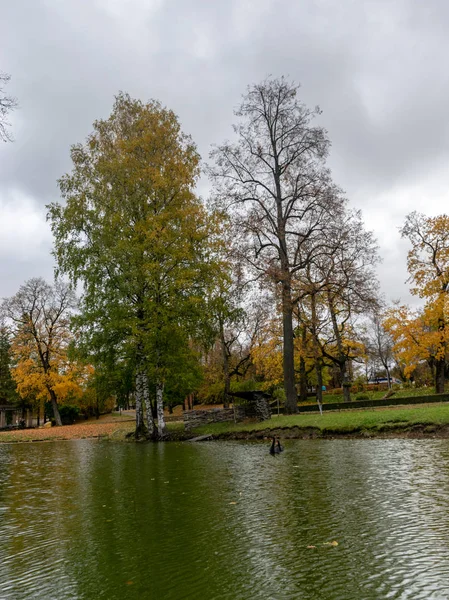 Landschap Met Kleurrijke Bomen Bij Vijver — Stockfoto