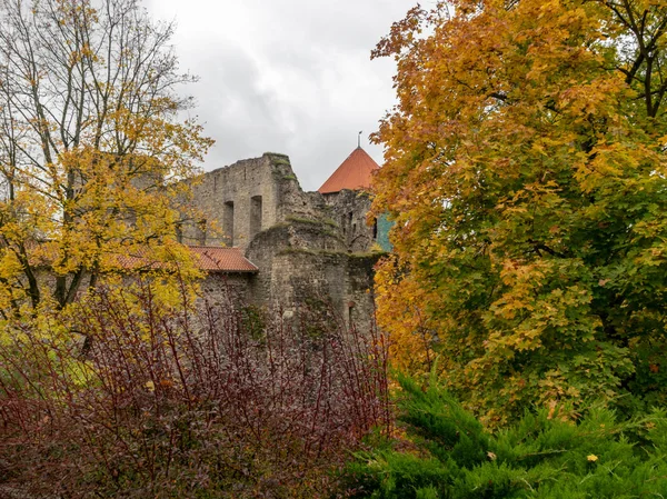 Ruínas Castelo Velho Árvores Coloridas Outono — Fotografia de Stock