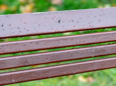 Islak tahta yakın plan, bulanık arkaplan