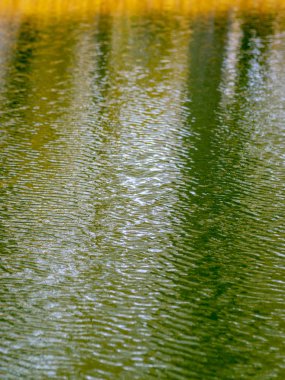 Solmuş ağaçların suda parladığı soyut bir resim