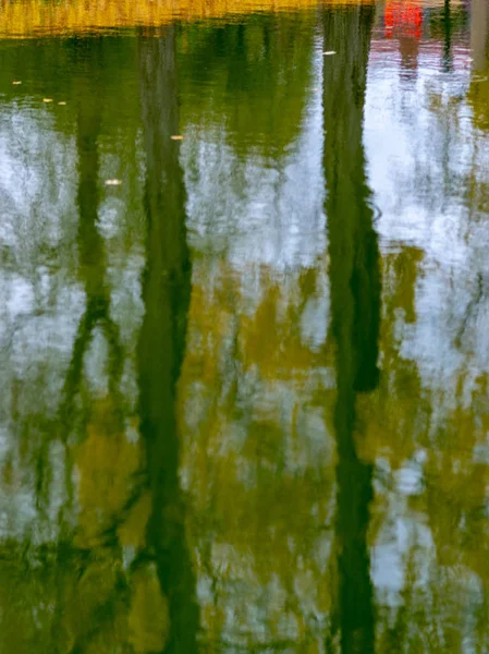 Imagen Abstracta Con Deslumbramiento Del Árbol Descolorido Agua — Foto de Stock