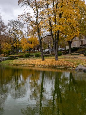  Sonbahar parkında renkli ağaçlı resim